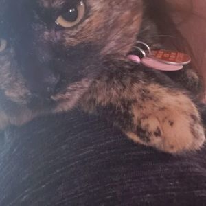 Meet your Posher, Christian